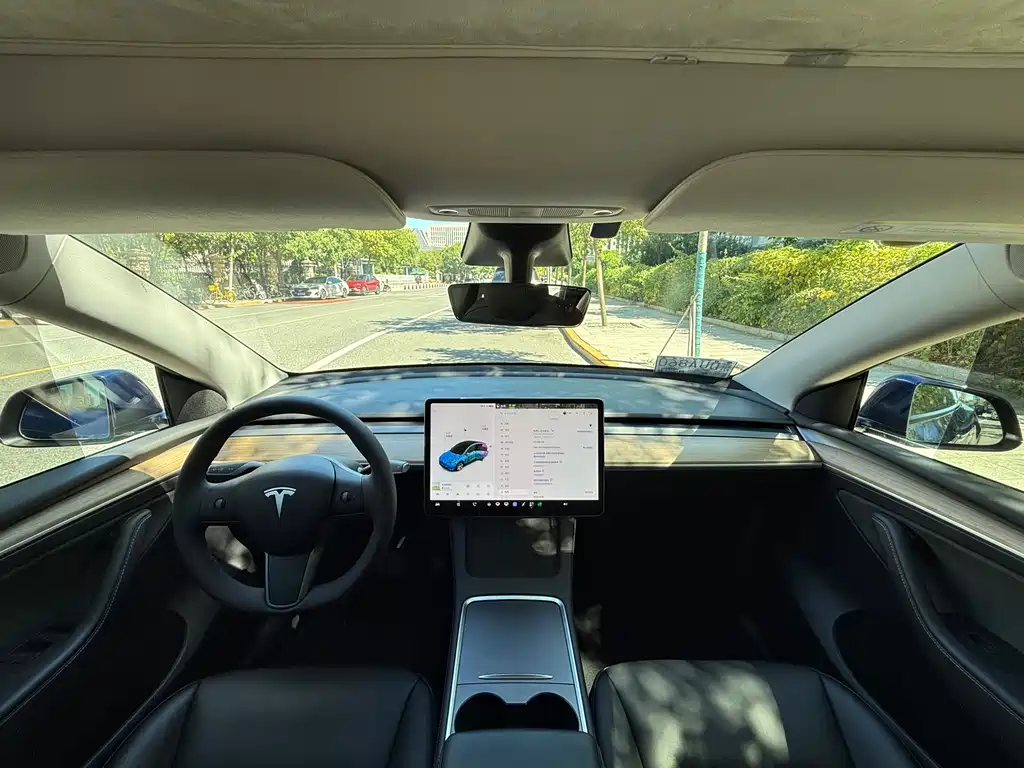 Tesla Model Y — миниатюра 8