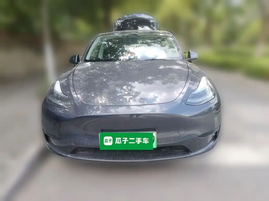 Tesla Model Y — миниатюра 2