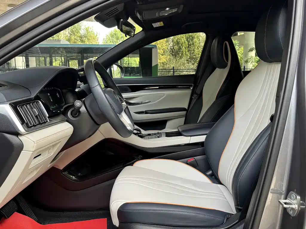 BYD PLUS New Energy — миниатюра 11