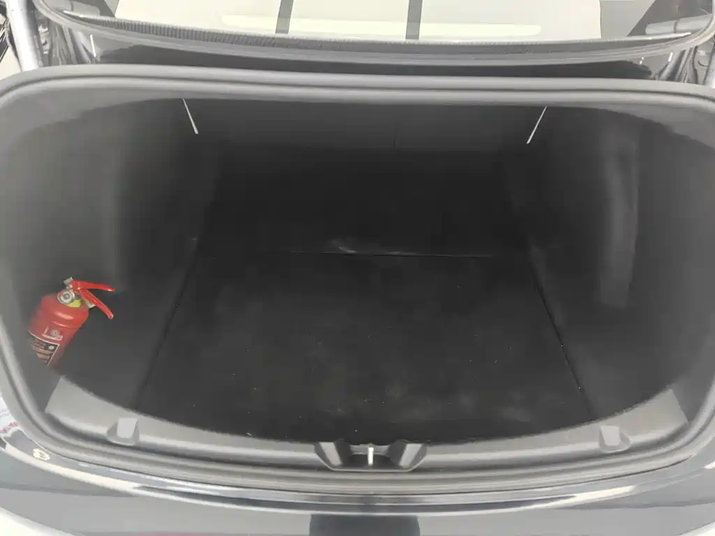 Tesla Model 3 — миниатюра 7