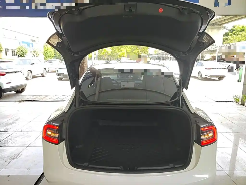 Tesla Model 3 — миниатюра 19