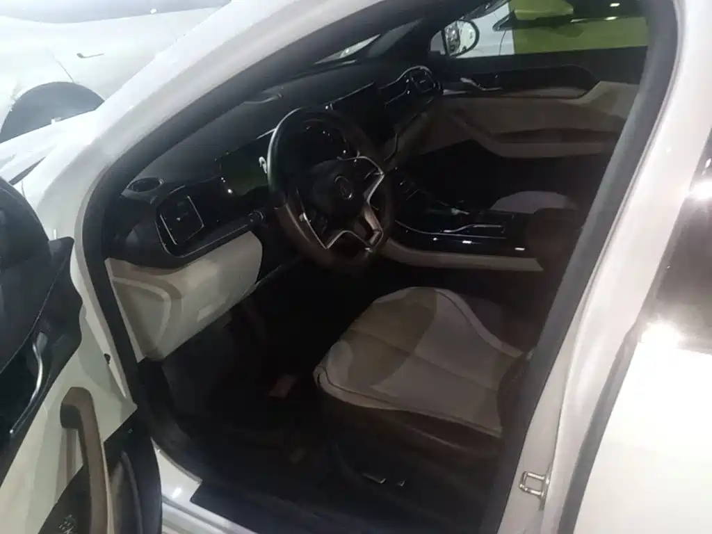 BYD Qin PLUS — миниатюра 15