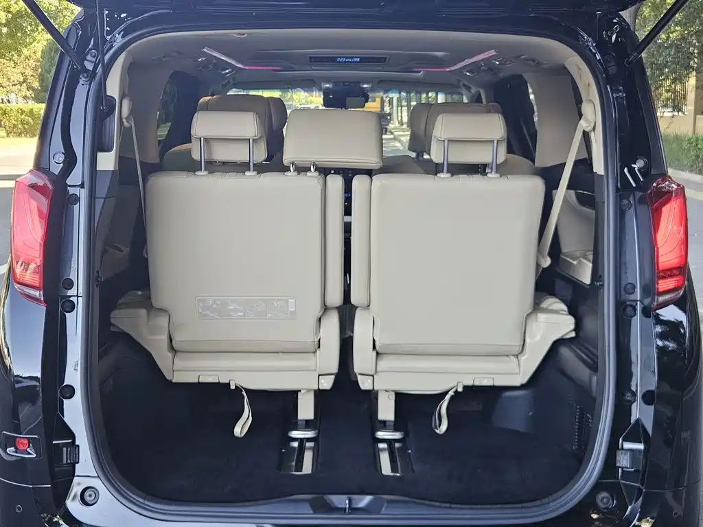 Toyota Alphard — миниатюра 21