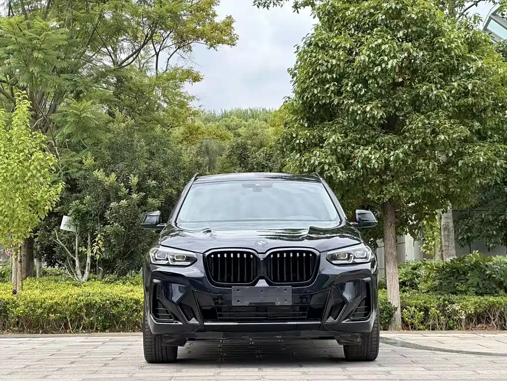 BMW X3 — миниатюра 2