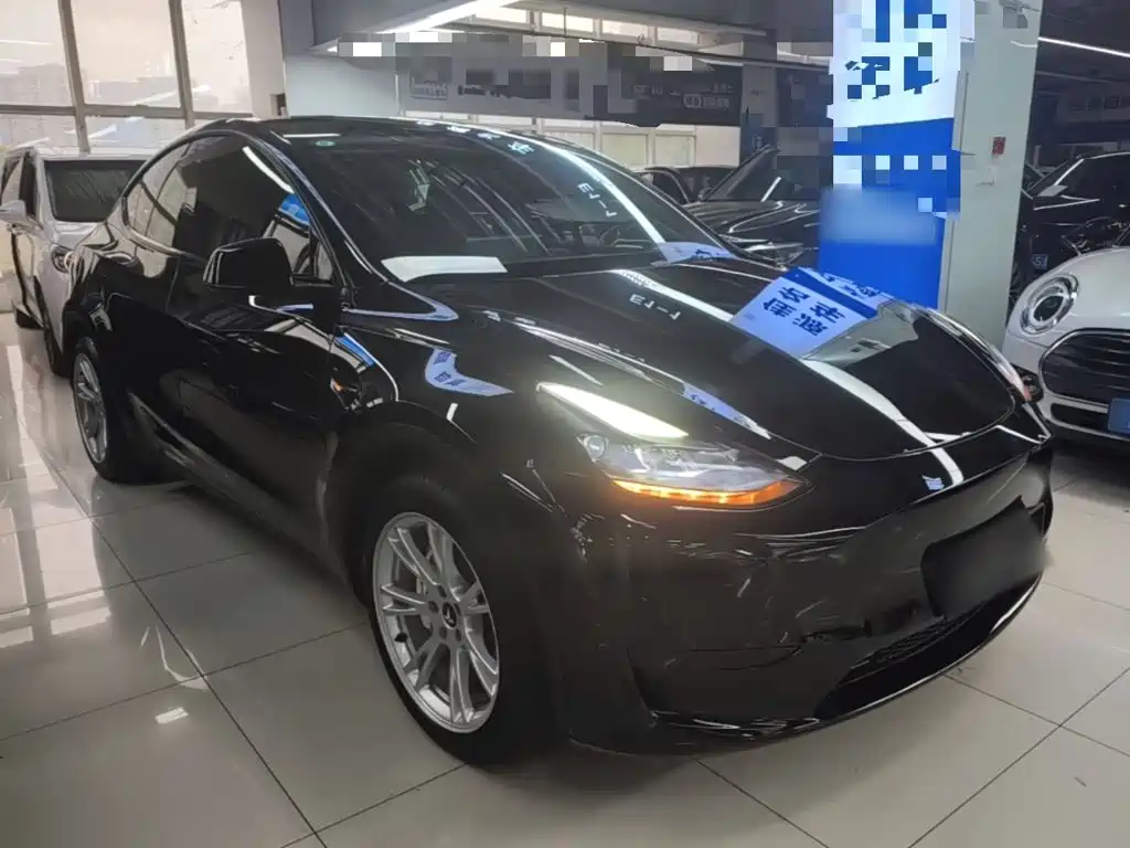 Tesla Model Y — миниатюра 4