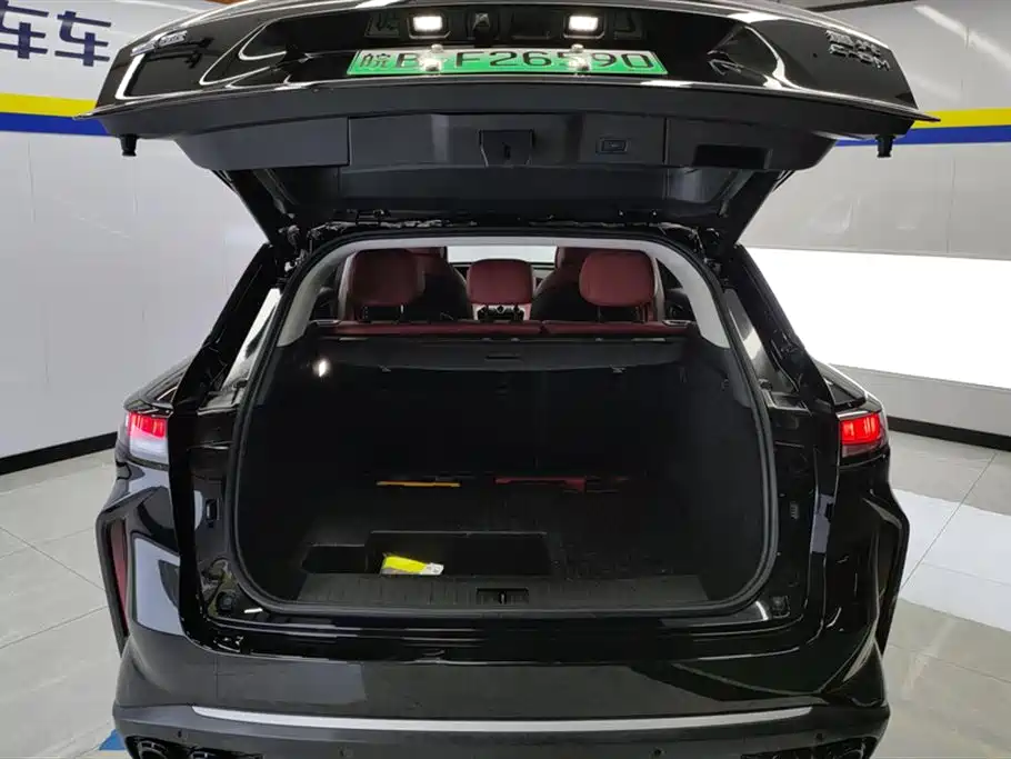 ASTRAL PATH YAOGUANG C DM