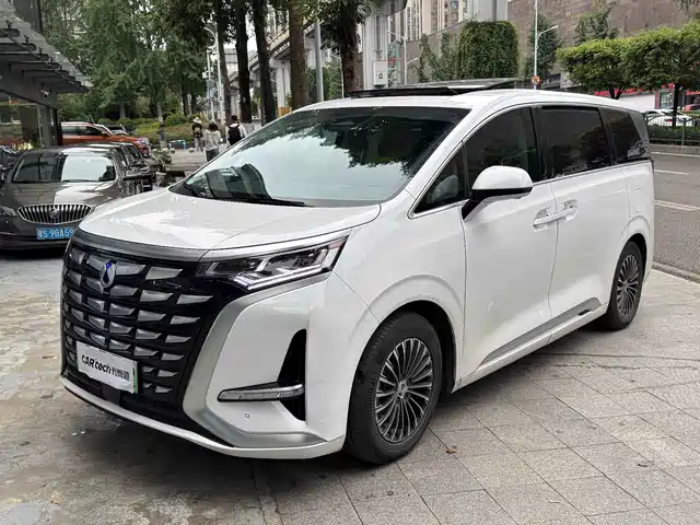 2023 Denza D9