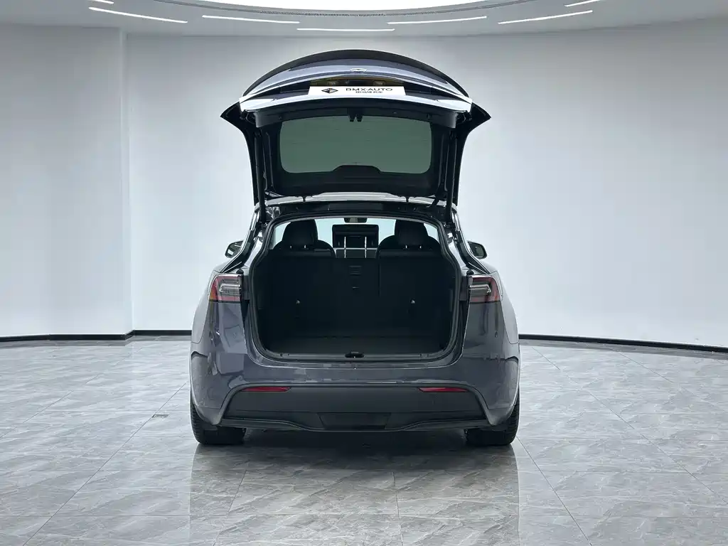 Tesla Model Y 2022 Performance