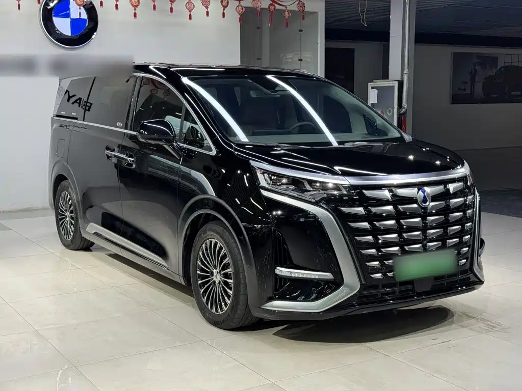 Denza Denza D9 — миниатюра 4