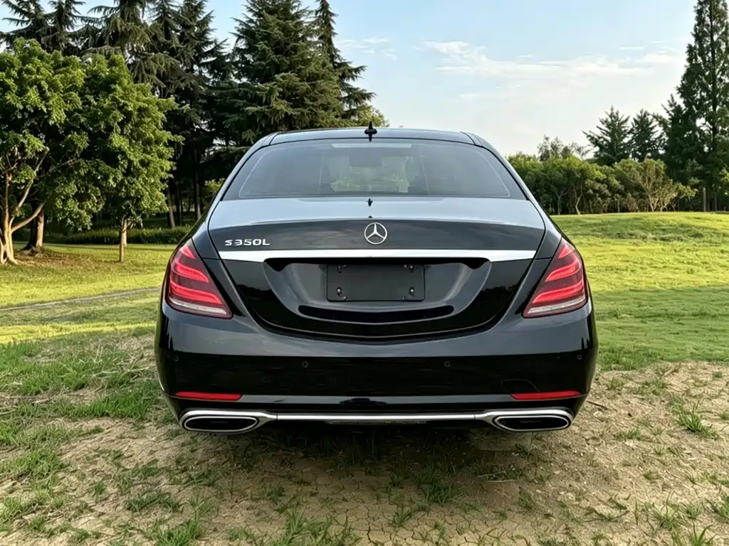 Mercedes-Benz S-Class — миниатюра 8