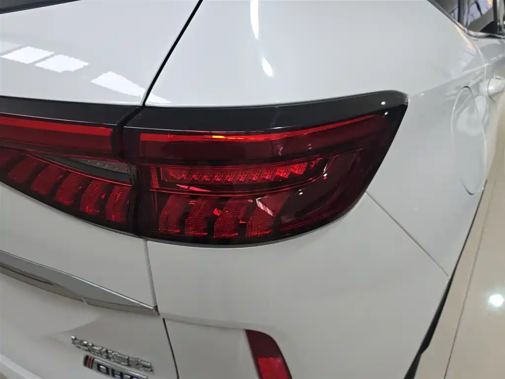Haval H6 New Energy — миниатюра 8