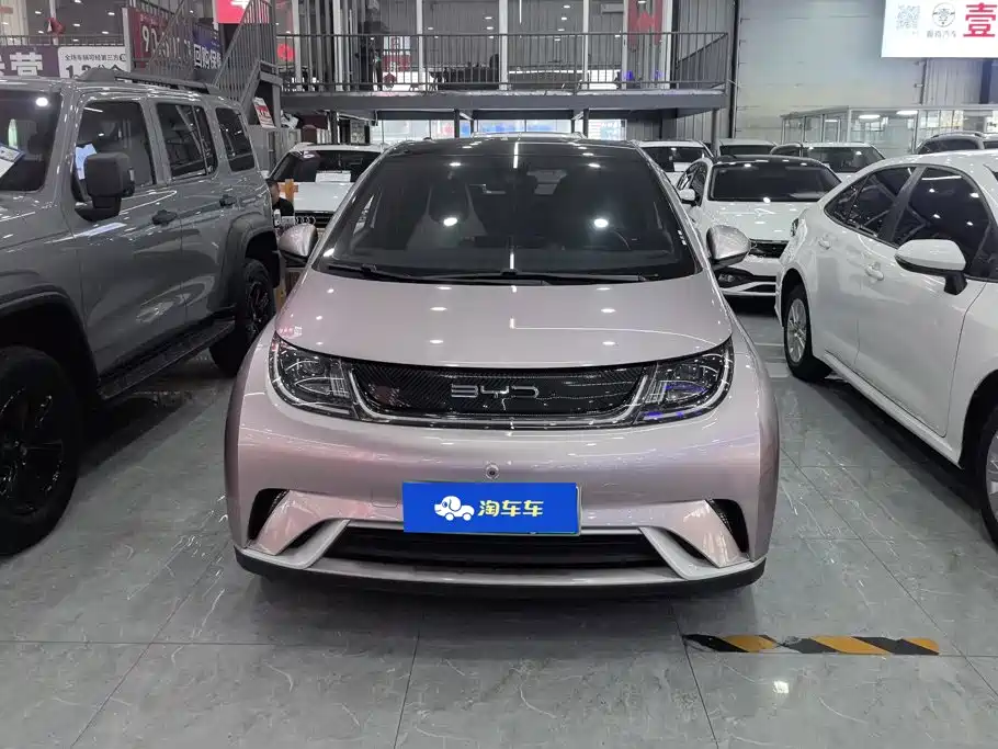 BYD Dolphin — миниатюра 2