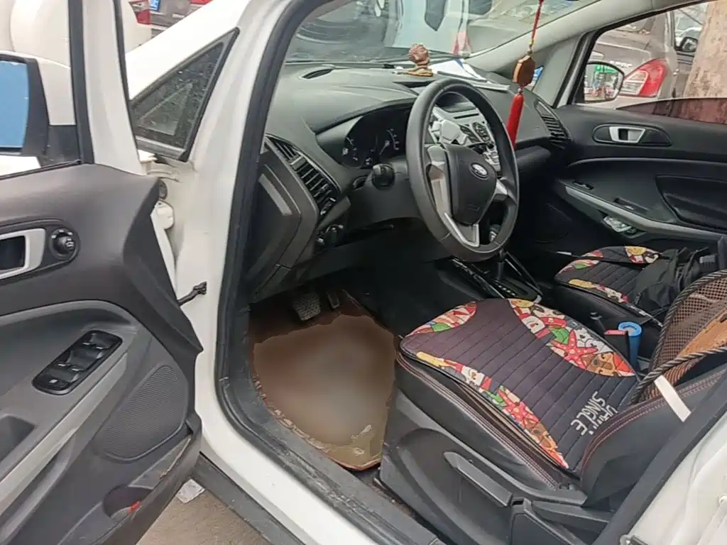 Ford Ecosport — миниатюра 16
