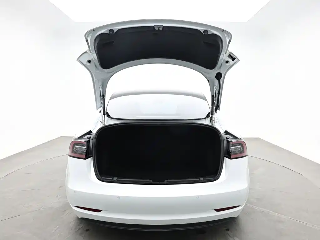 Tesla Model 3 — миниатюра 10