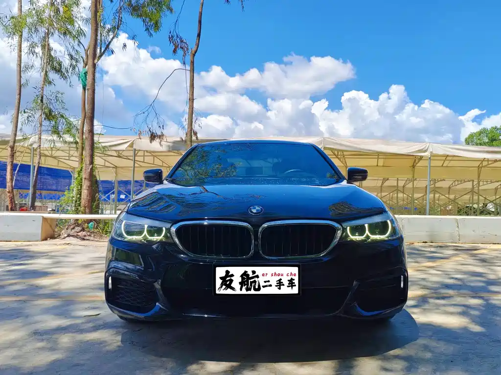 BMW 5 Series 5 2020 525Li M Sport