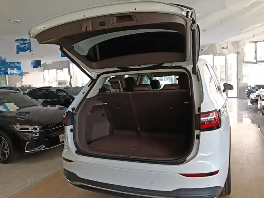 Volkswagen Viloran — миниатюра 19
