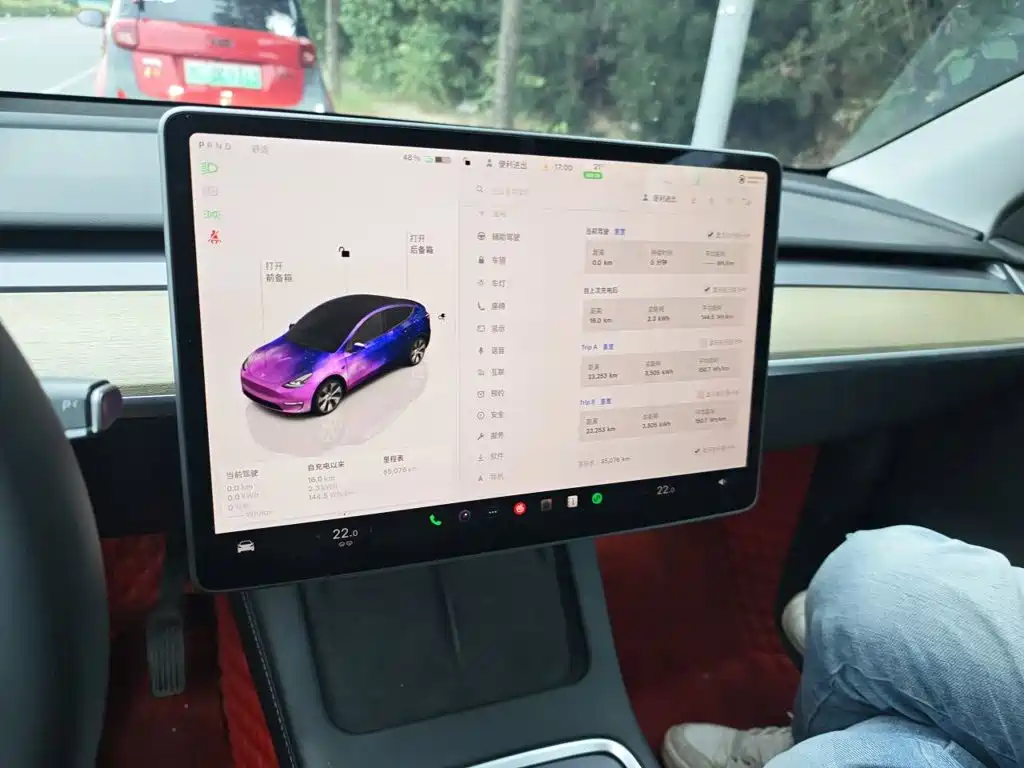 Tesla Model Y — миниатюра 14