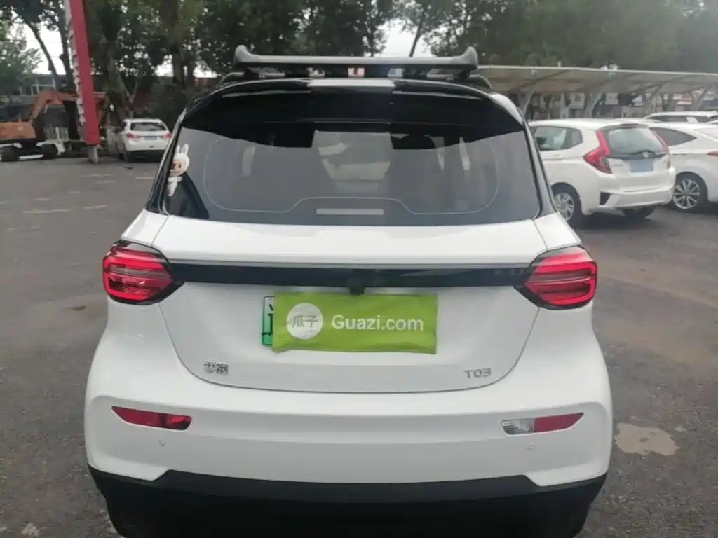 Leapmotor T03 2025 310