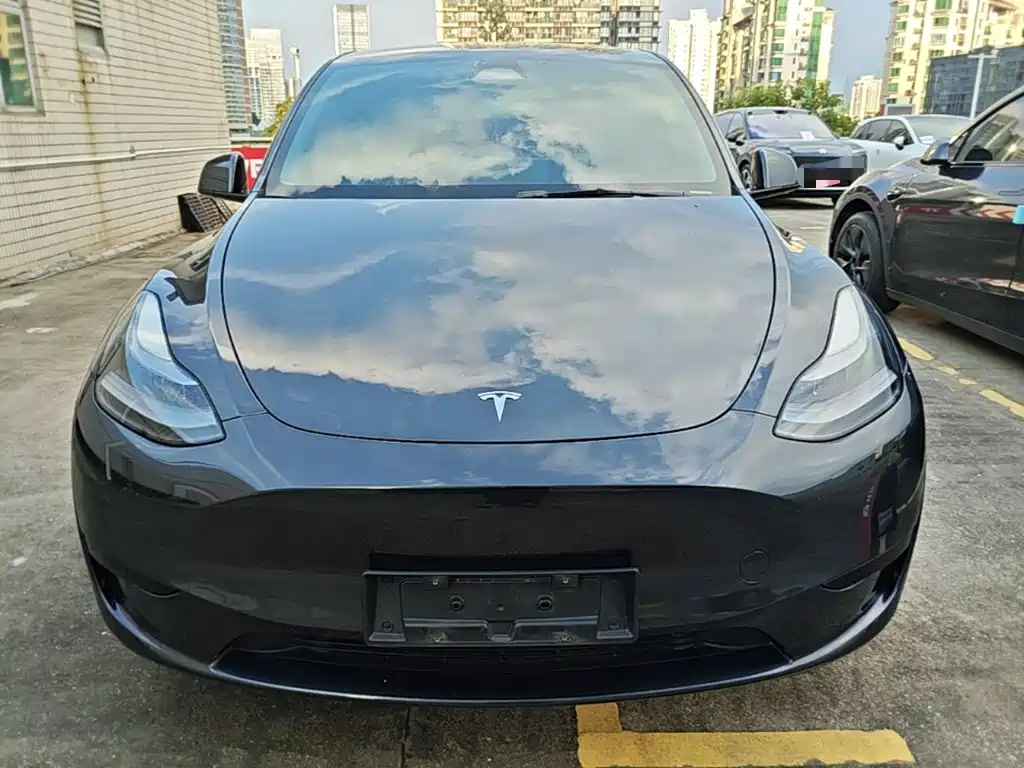 Tesla Model Y — миниатюра 3
