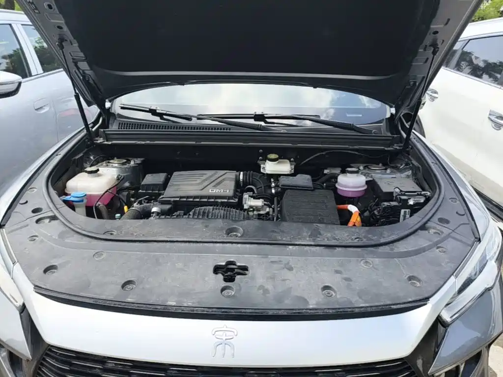 BYD Pro New Energy — миниатюра 25