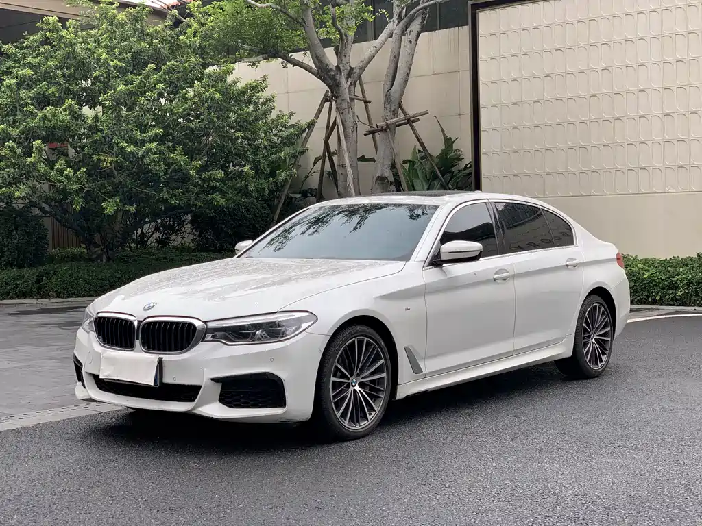 BMW 5 Series 2019