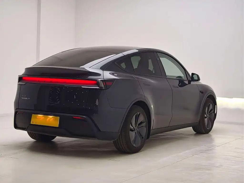 Tesla Model Y — миниатюра 9