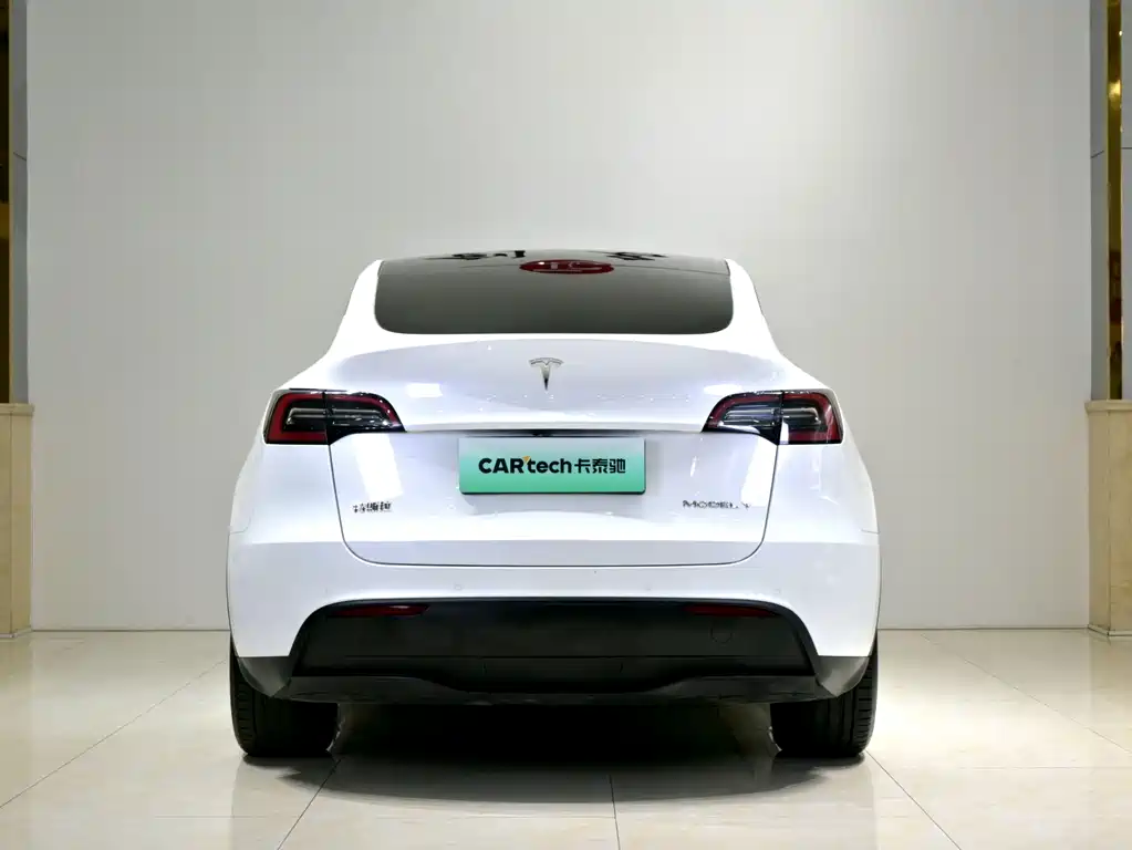 Tesla Model Y — миниатюра 22
