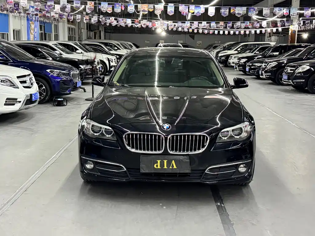 BMW 5 Series — миниатюра 2