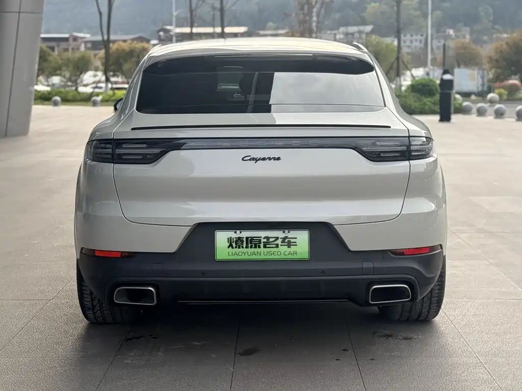 PORSCHE CAYENNE NEW ENERGY