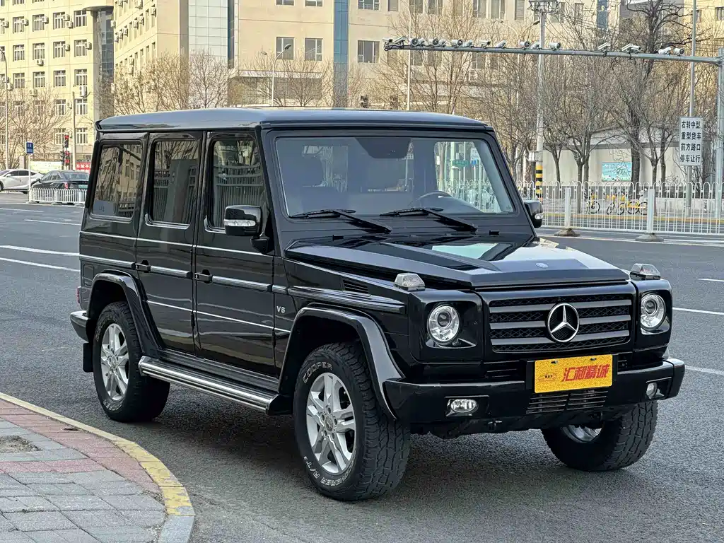 Mercedes-Benz G-Class G 2010 G 500