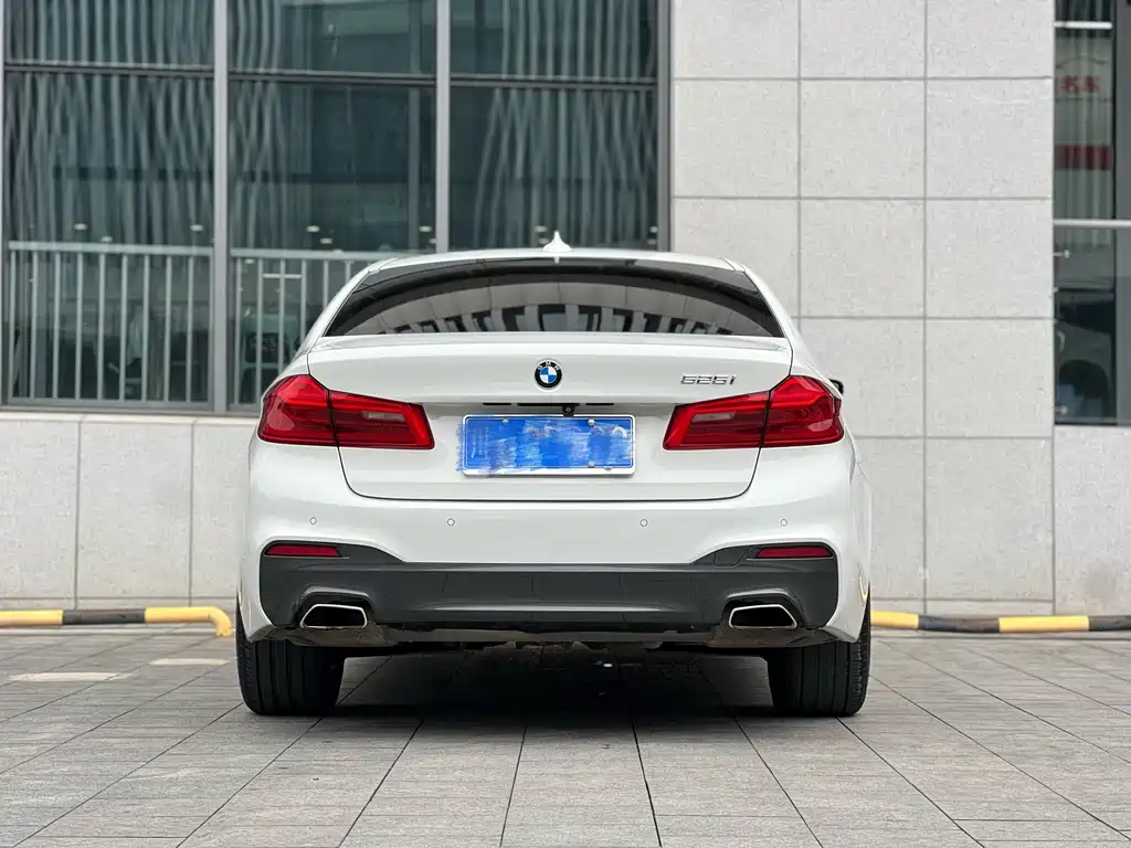BMW 5 Series (Import) — миниатюра 5