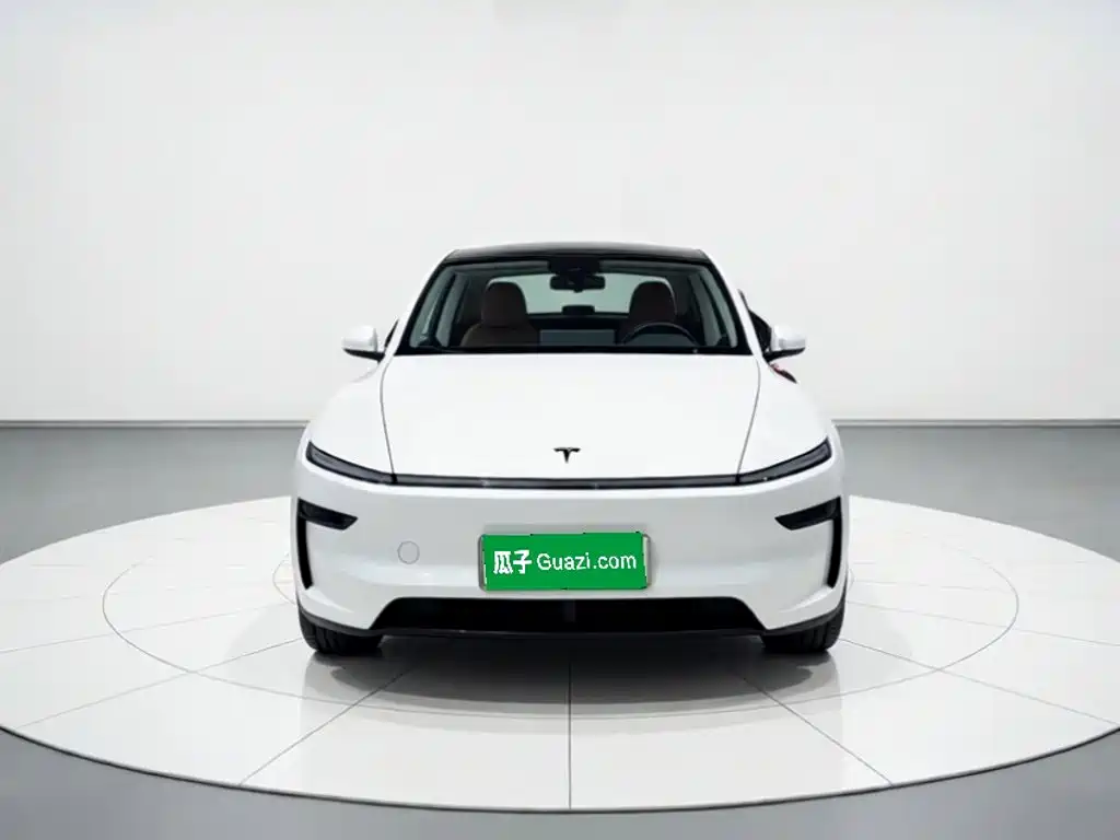Tesla Model Y — миниатюра 23