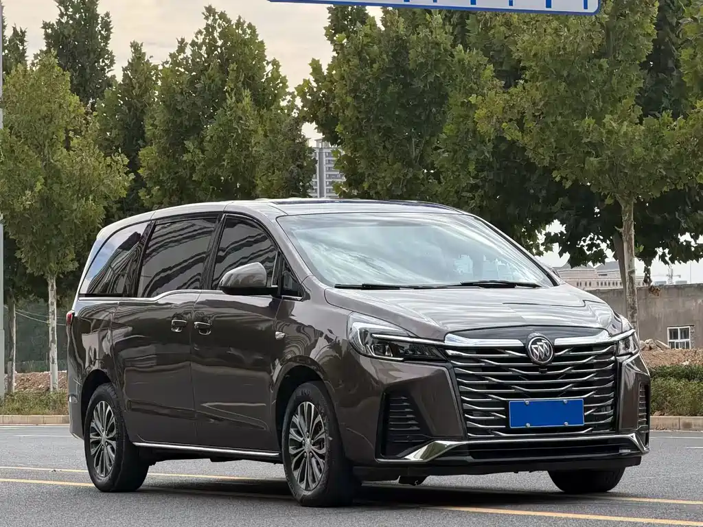 Buick GL8 — миниатюра 3