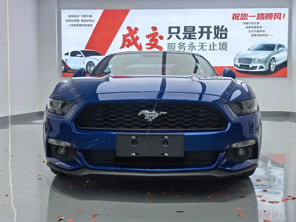 Ford Mustang — миниатюра 2