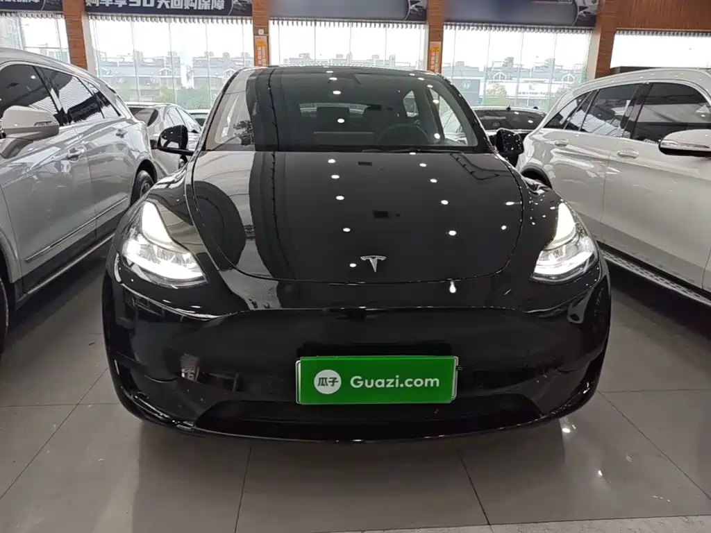Tesla Model Y — миниатюра 3