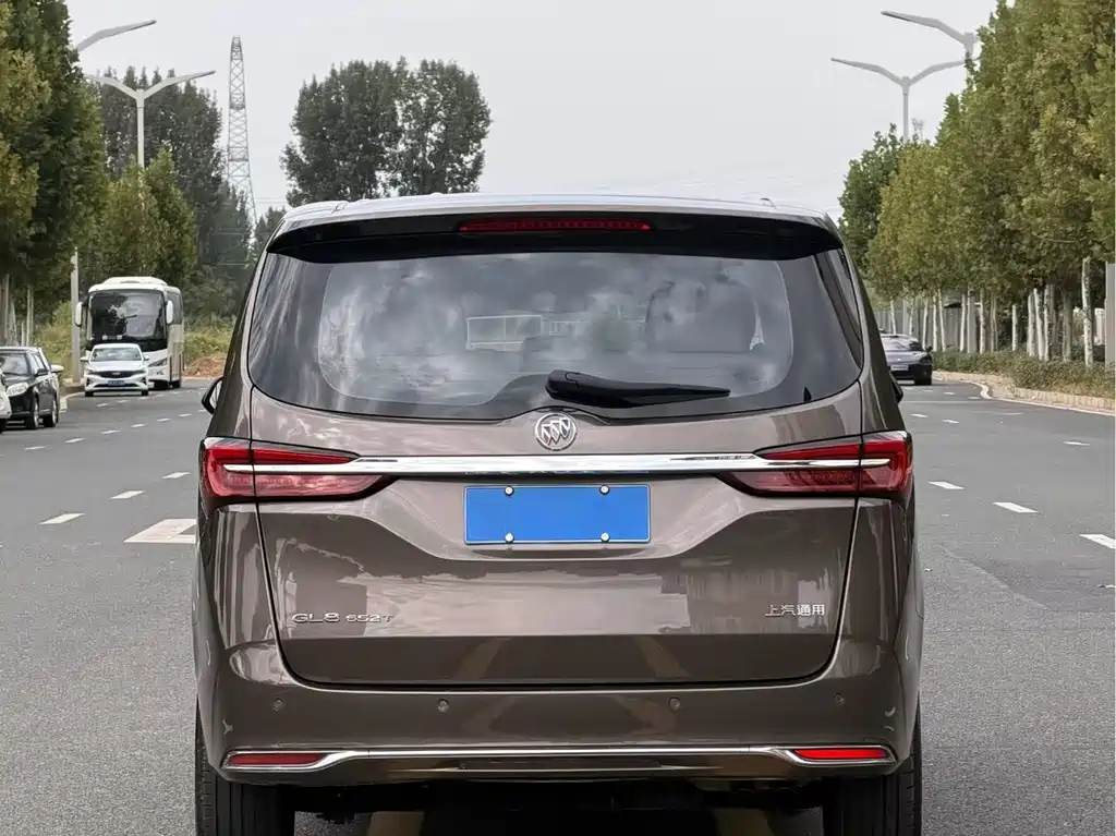 Buick GL8 — миниатюра 8