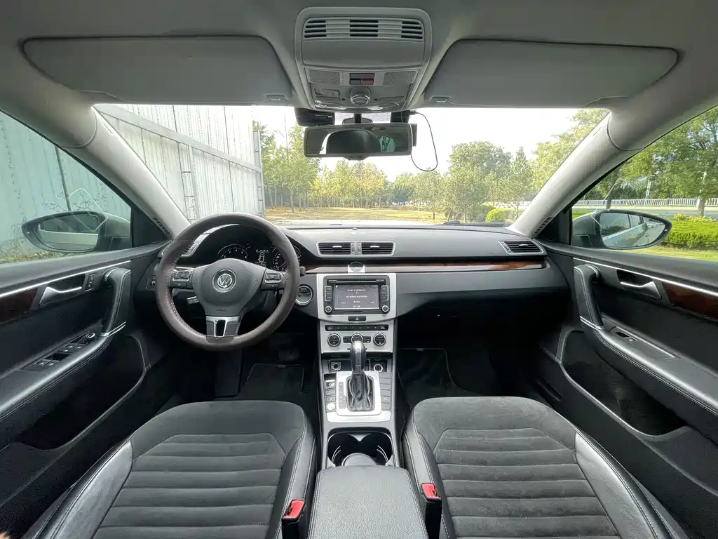 Volkswagen Magotan (Import) — миниатюра 7