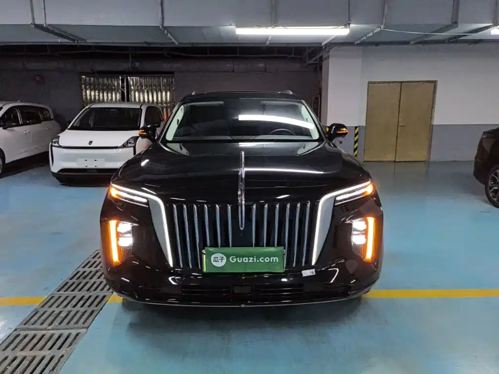 Hongqi Hongqi E-HS9 — миниатюра 3