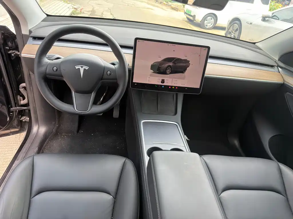 Tesla Model Y — миниатюра 6