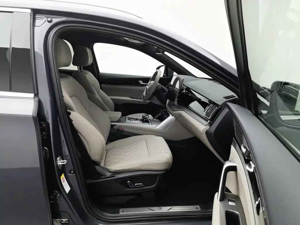 BYD Tang New Energy — миниатюра 23