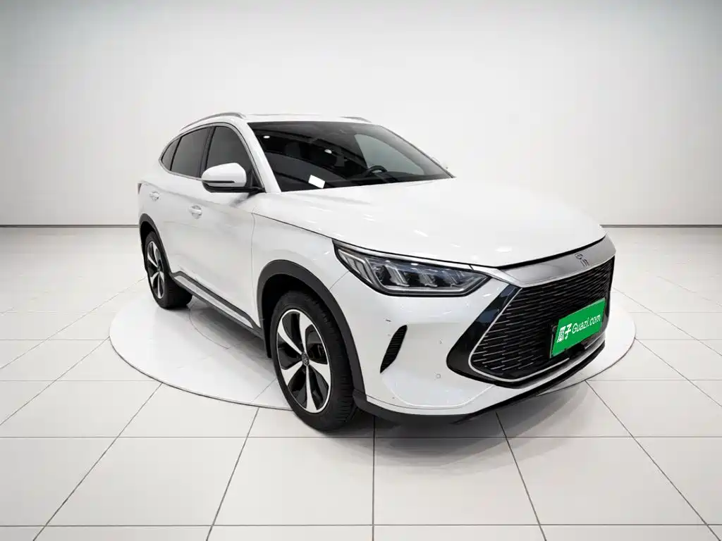 BYD PLUS New Energy — миниатюра 3