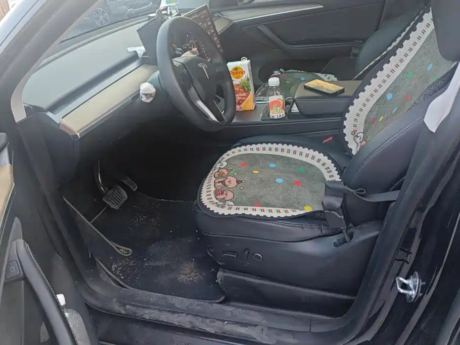 Tesla Model Y — миниатюра 9