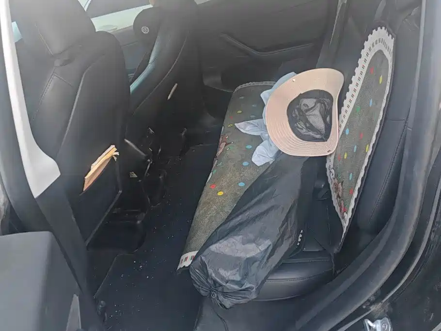 Tesla Model Y — миниатюра 11