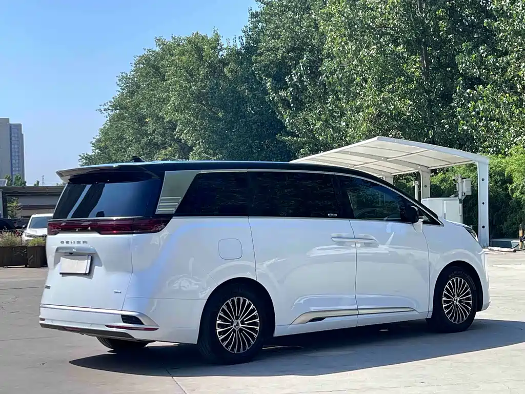 Denza Denza D9 — миниатюра 10