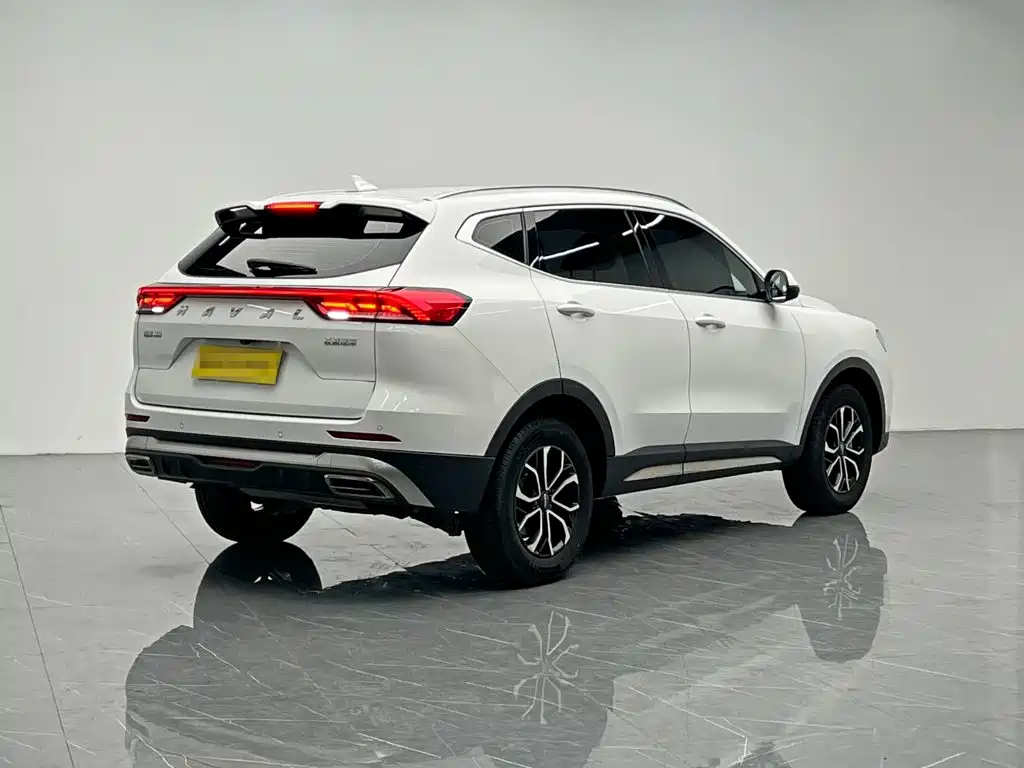 Haval H6 2021 — фото 6