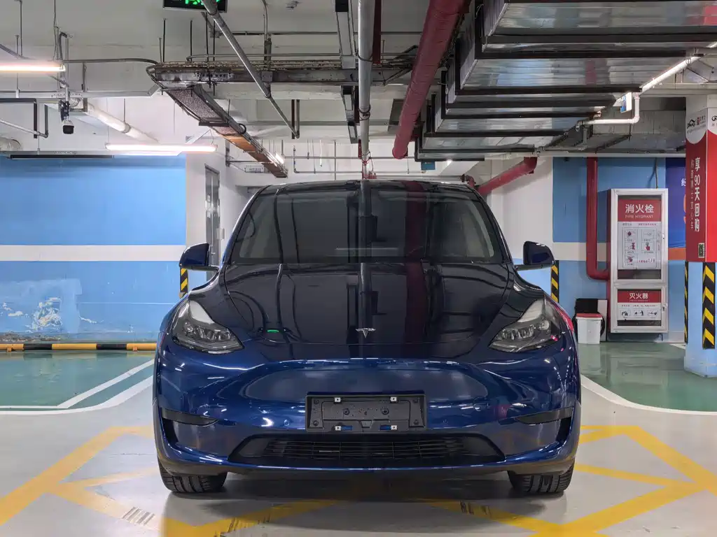 Tesla Model Y — миниатюра 2