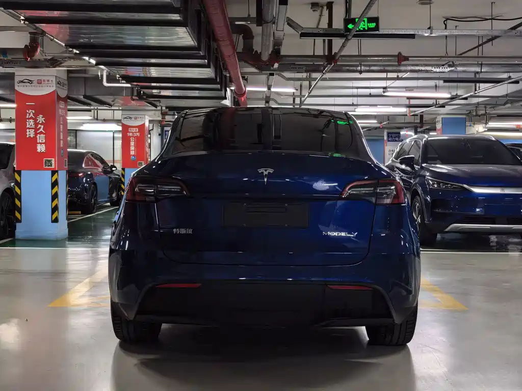 Tesla Model Y — миниатюра 5