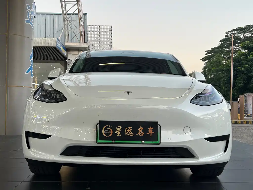Tesla Model Y — миниатюра 2