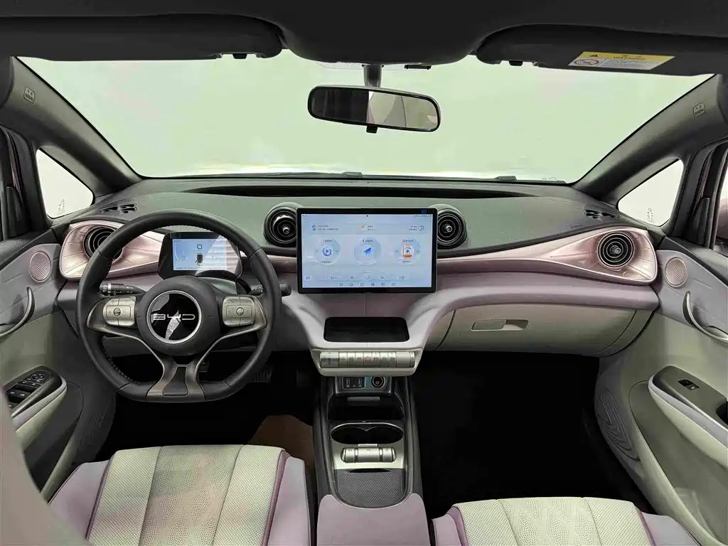 BYD Dolphin — миниатюра 5