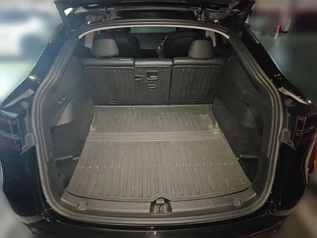 Tesla Model Y — миниатюра 10